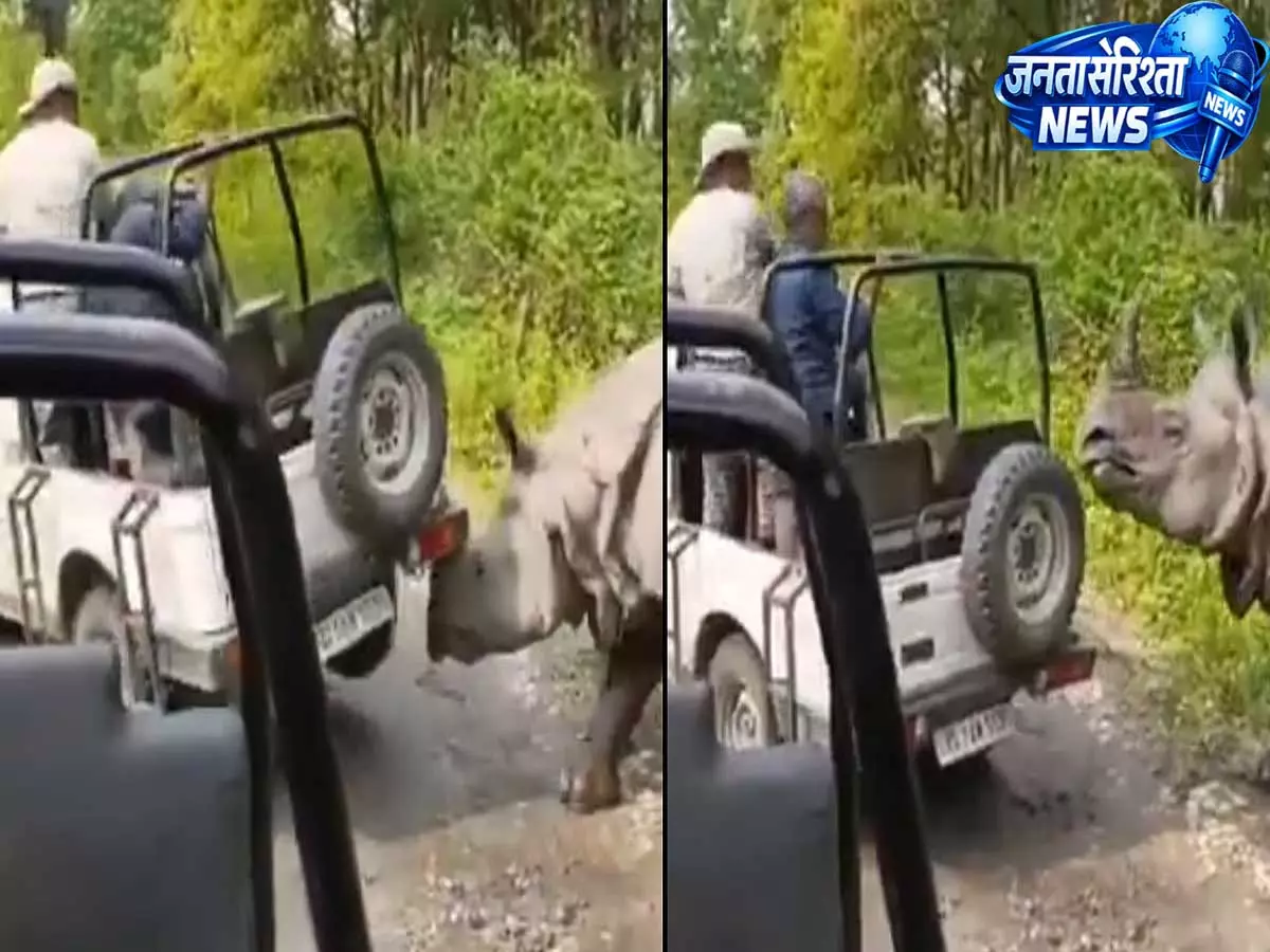 Manas National Park, Assam: गैंडा आक्रामक हुआ, पर्यटकों से भरी जीप को उठाने का प्रयास – वायरल वीडियो Manas National Park, Assam: गैंडा आक्रामक हुआ, पर्यटकों से भरी जीप को उठाने का प्रयास – वायरल वीडियो