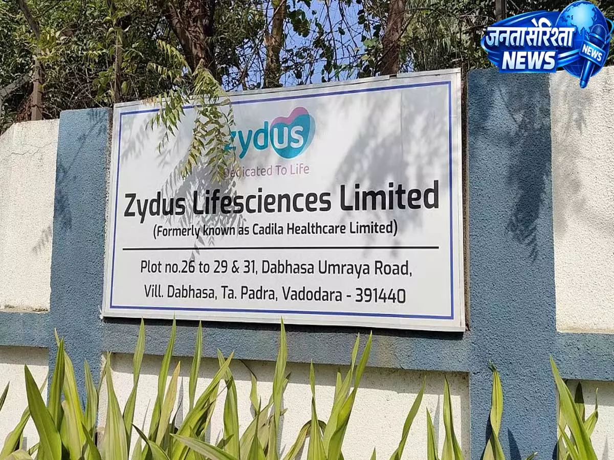 ज़ाइडस लाइफसाइंसेज ने Q4 में 16% राजस्व वृद्धि और PAT में 8.7% की बढ़ोतरी दर्ज की ज़ाइडस लाइफसाइंसेज ने Q4 में 16% राजस्व वृद्धि और PAT में 8.7% की बढ़ोतरी दर्ज की