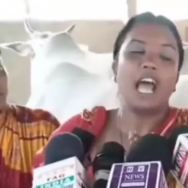 गोवंश नहीं बिकने से किसान के साथ साथ मुसलमान भी शुभेंदु सरकार से नाराज गोवंश नहीं बिकने से किसान के साथ साथ मुसलमान भी शुभेंदु सरकार से नाराज