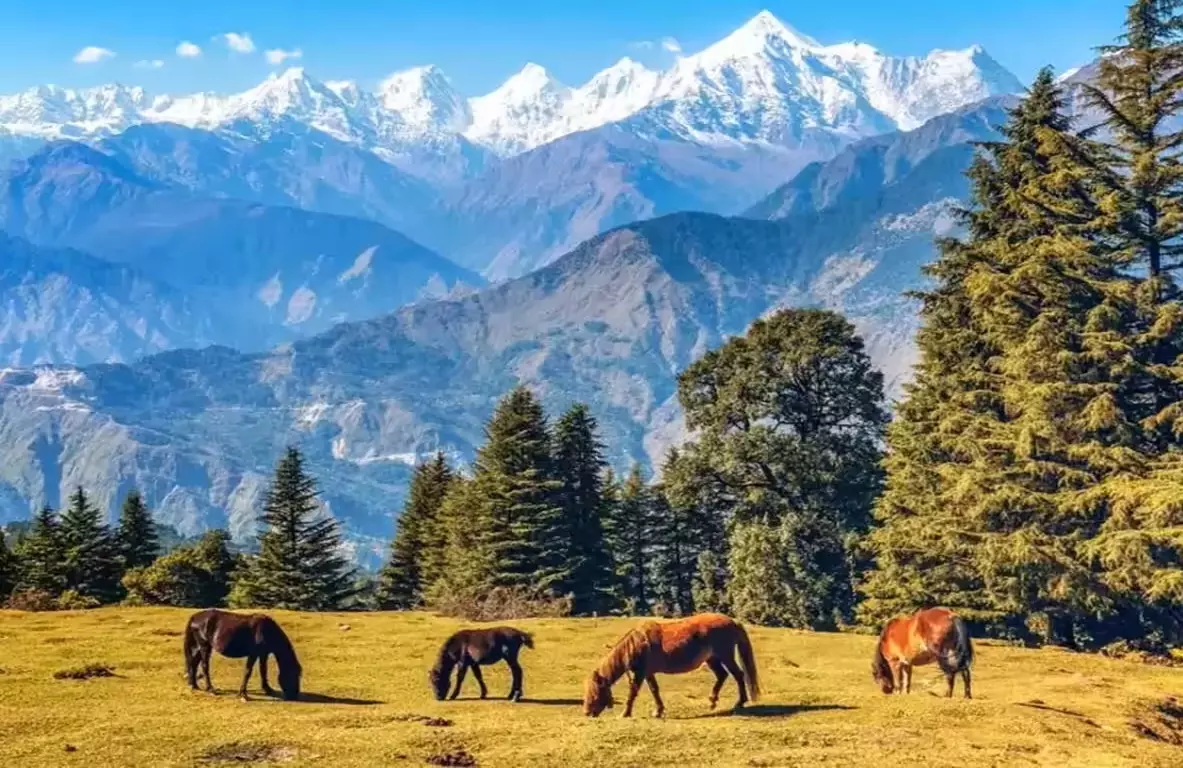 Dehradun: उत्तराखंड में मौसम गर्म, पारा 40 डिग्री के पार पहुंचने की संभावना Dehradun: उत्तराखंड में मौसम गर्म, पारा 40 डिग्री के पार पहुंचने की संभावना