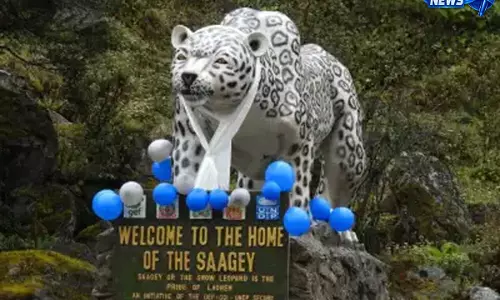 Sikkim करेगा राष्ट्रीय हिम तेंदुआ कार्यक्रम की मेज़बानी, IBCA शिखर सम्मेलन से पहले