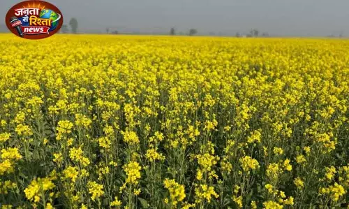 Haryana का लक्ष्य: 2026-27 में 1 लाख एकड़ प्राकृतिक खेती