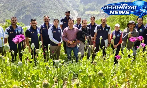 Kullu : नशा माफिया पर बड़ी कार्रवाई, 12 बीघा में अवैध पोस्त की खेती का भंडाफोड़ Kullu : नशा माफिया पर बड़ी कार्रवाई, 12 बीघा में अवैध पोस्त की खेती का भंडाफोड़