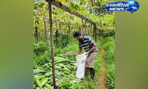 Kerala : देसी बीजों से बदल रहा खेती का स्वरूप Kerala : देसी बीजों से बदल रहा खेती का स्वरूप