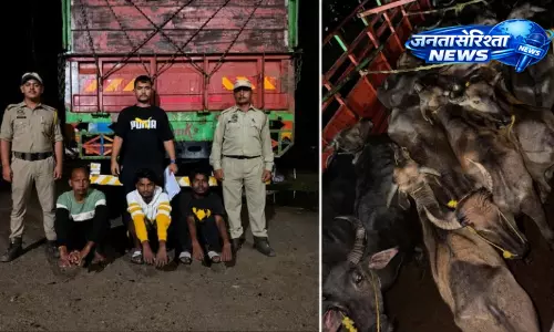 Lakhimpur : मवेशी तस्करी के खिलाफ बड़ी कार्रवाई, 72 पशु जब्त, दो हिरासत में Lakhimpur : मवेशी तस्करी के खिलाफ बड़ी कार्रवाई, 72 पशु जब्त, दो हिरासत में