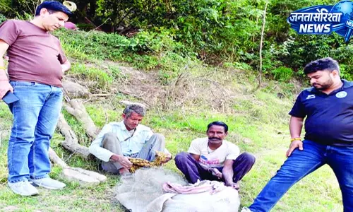 गोबिंदसागर-कोलडैम में मछली के शिकारियों पर शिकंजा गोबिंदसागर-कोलडैम में मछली के शिकारियों पर शिकंजा