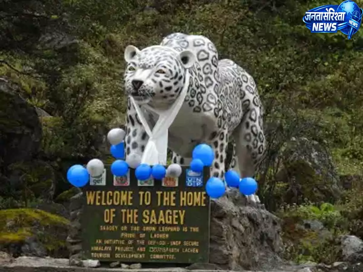Sikkim करेगा राष्ट्रीय हिम तेंदुआ कार्यक्रम की मेज़बानी, IBCA शिखर सम्मेलन से पहले Sikkim करेगा राष्ट्रीय हिम तेंदुआ कार्यक्रम की मेज़बानी, IBCA शिखर सम्मेलन से पहले