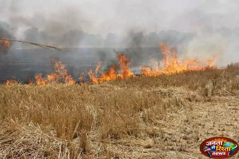 Haryana में खेतों में आग की घटनाओं में 92% बढ़ोतरी Haryana में खेतों में आग की घटनाओं में 92% बढ़ोतरी