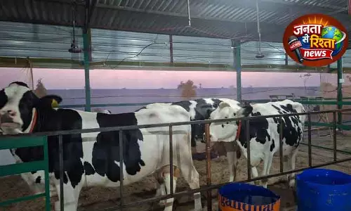 Karnal गर्मियों में दूध उत्पादन में 20% तक गिरावट Karnal गर्मियों में दूध उत्पादन में 20% तक गिरावट