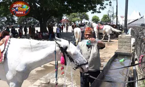 Shimla में तापमान 30°C के पार, आज के लिए लू की चेतावनी