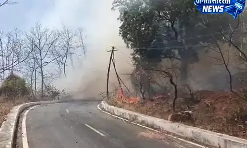 सर्किट हाउस के पास वन क्षेत्र में भीषण आग, 10 दमकल गाड़ियों ने काबू पाया सर्किट हाउस के पास वन क्षेत्र में भीषण आग, 10 दमकल गाड़ियों ने काबू पाया