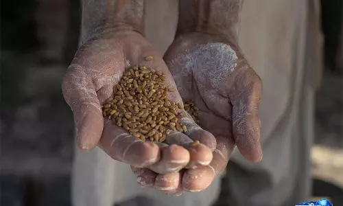Pakistan: पंजाब प्रांत में आटे का संकट गहराया, घाटे के कारण 40% मिलें बंद