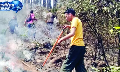 चंद्राकड़ी के जंगल में भडक़ी भीषण आग