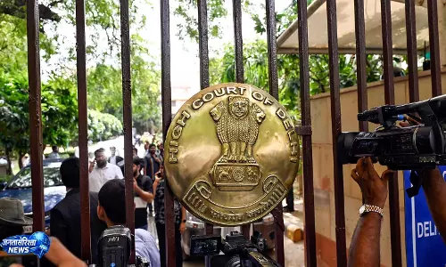 दिल्ली HC ने दिल्ली दंगों की बड़ी साज़िश के मामले में सलीम मलिक मुन्ना को दी ज़मानत