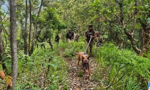 ग्रामीणों की रिहाई की मांग को लेकर कुकी संगठन ने बंद 48 घंटे और बढ़ाया ग्रामीणों की रिहाई की मांग को लेकर कुकी संगठन ने बंद 48 घंटे और बढ़ाया