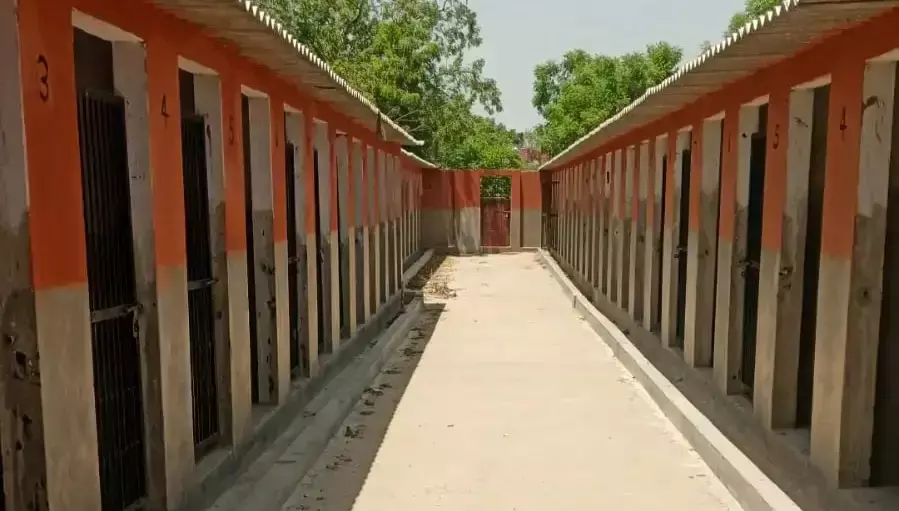 Jaipur: खूंखार कुत्तों के लिए जयपुर में बनेंगे विशेष शेल्टर होम Jaipur: खूंखार कुत्तों के लिए जयपुर में बनेंगे विशेष शेल्टर होम