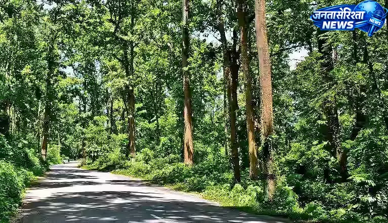 जैव विविधता संरक्षण में इंदौर वन वृत्त को पहला स्थान, ABS मॉडल की बड़ी सफलता जैव विविधता संरक्षण में इंदौर वन वृत्त को पहला स्थान, ABS मॉडल की बड़ी सफलता