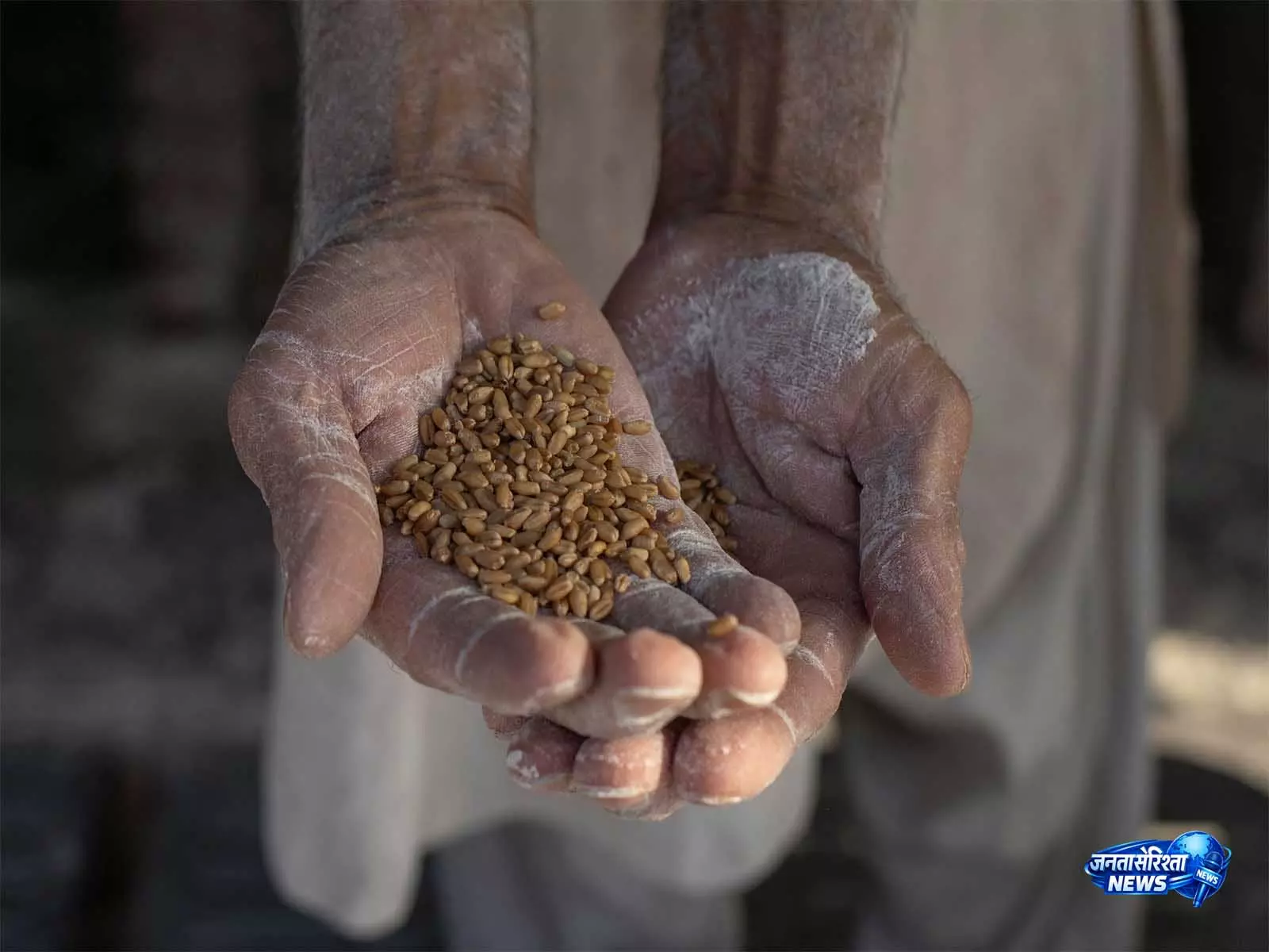 Pakistan: पंजाब प्रांत में आटे का संकट गहराया, घाटे के कारण 40% मिलें बंद Pakistan: पंजाब प्रांत में आटे का संकट गहराया, घाटे के कारण 40% मिलें बंद