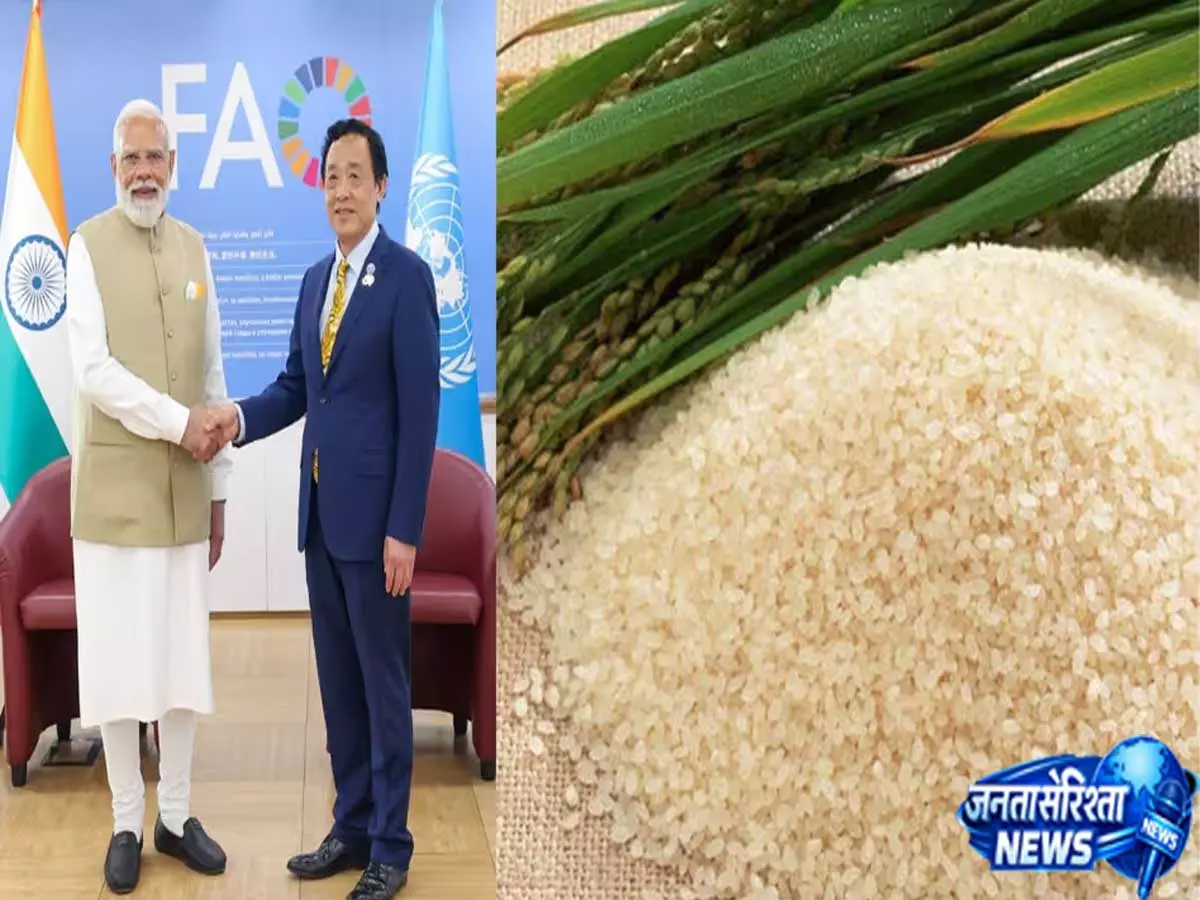 Assam का जोहा चावल अंतरराष्ट्रीय सुर्खियों में, FAO प्रमुख को PM मोदी ने किया प्रस्तुत Assam का जोहा चावल अंतरराष्ट्रीय सुर्खियों में, FAO प्रमुख को PM मोदी ने किया प्रस्तुत