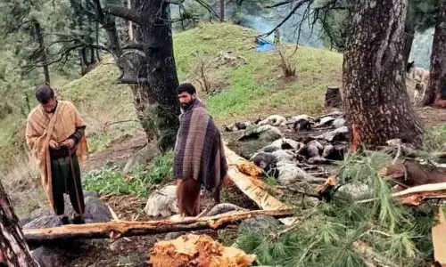 Srinagar बिजली गिरने से 60 से ज़्यादा भेड़-बकरियों की मौत हो गई Srinagar बिजली गिरने से 60 से ज़्यादा भेड़-बकरियों की मौत हो गई