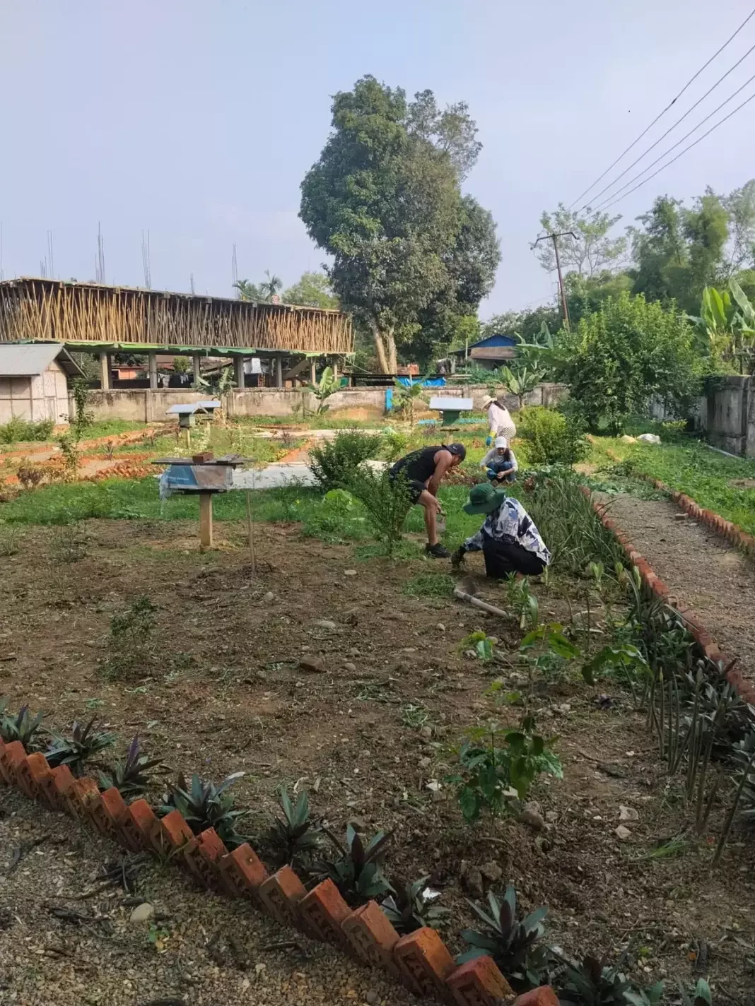 Nagaland: मार्केटिंग पर परामर्श कार्यशाला