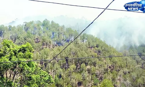 देवठी पंचायत के शतल गांव के पास जंगल में भडक़ी आग
