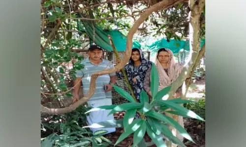 परप्पनंगडी का हर्बल गार्डन बना बायोडायवर्सिटी का मॉडल, परिवार की ऑर्गेनिक पहल चर्चा में परप्पनंगडी का हर्बल गार्डन बना बायोडायवर्सिटी का मॉडल, परिवार की ऑर्गेनिक पहल चर्चा में
