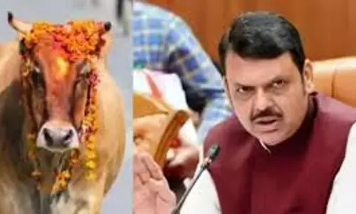 Mumbai: गौ तस्करी नेटवर्क पर सख्त कानून लागू करने की तैयारी Mumbai: गौ तस्करी नेटवर्क पर सख्त कानून लागू करने की तैयारी