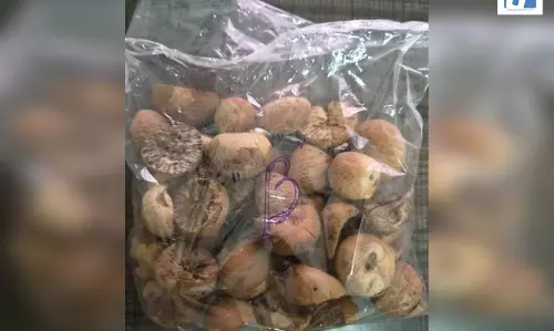 DRI की बड़ी कार्रवाई, तस्करी कर लाई गई 60,000 किलोग्राम विदेशी सुपारी जब्त की DRI की बड़ी कार्रवाई, तस्करी कर लाई गई 60,000 किलोग्राम विदेशी सुपारी जब्त की