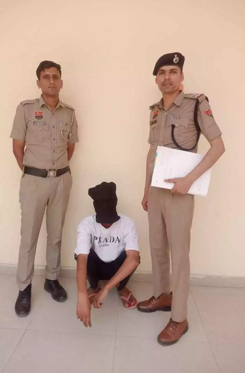 हरियाणा में Fatehabad पुलिस ने ऑनलाइन सट्टेबाजी रैकेट पर कार्रवाई की हरियाणा में Fatehabad पुलिस ने ऑनलाइन सट्टेबाजी रैकेट पर कार्रवाई की