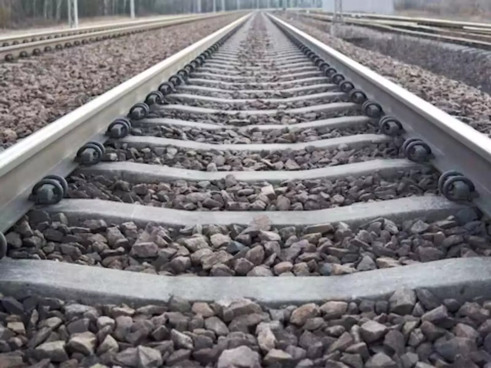 पटरी में चल रहा था मानसिक रोगी, मालगाड़ी के लोको पायलट ने दबाया ब्रेक, बची जान पटरी में चल रहा था मानसिक रोगी, मालगाड़ी के लोको पायलट ने दबाया ब्रेक, बची जान
