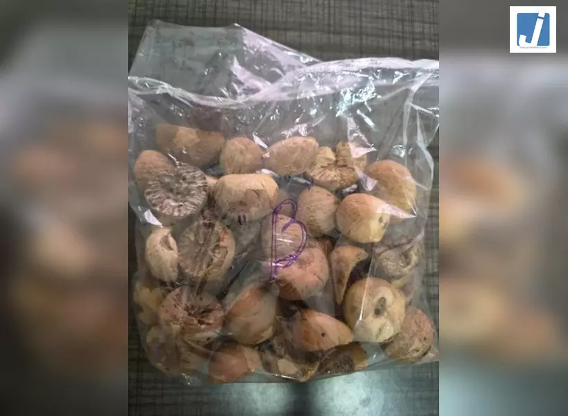 DRI की बड़ी कार्रवाई, तस्करी कर लाई गई 60,000 किलोग्राम विदेशी सुपारी जब्त की DRI की बड़ी कार्रवाई, तस्करी कर लाई गई 60,000 किलोग्राम विदेशी सुपारी जब्त की