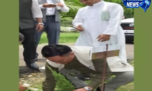 Nagaland official: 10 साल में 794.88 वर्ग किलोमीटर वन क्षेत्र खत्म हुआ Nagaland official: 10 साल में 794.88 वर्ग किलोमीटर वन क्षेत्र खत्म हुआ