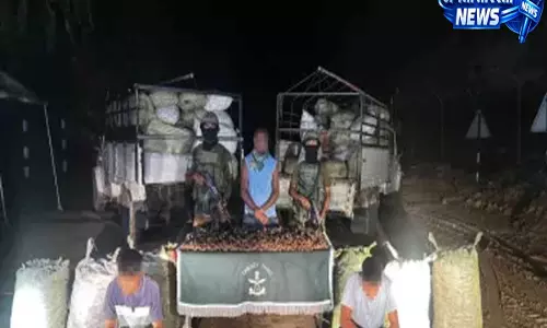Mizoram border पर औषधीय पौधों की तस्करी: क्या है पीछे की असली वजह?