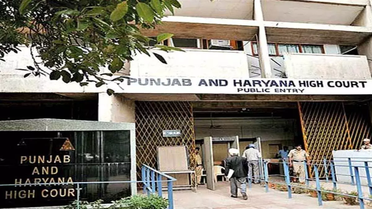 Chandigarh: हाई कोर्ट ने बैलेट पेपर मतदान रोकने की याचिका खारिज की Chandigarh: हाई कोर्ट ने बैलेट पेपर मतदान रोकने की याचिका खारिज की