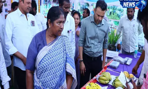 Hyderabad Seethakka: इंदिराम्मा हाउसिंग और पेंशन का दूसरा फेज 2 जून से शुरू Hyderabad Seethakka: इंदिराम्मा हाउसिंग और पेंशन का दूसरा फेज 2 जून से शुरू