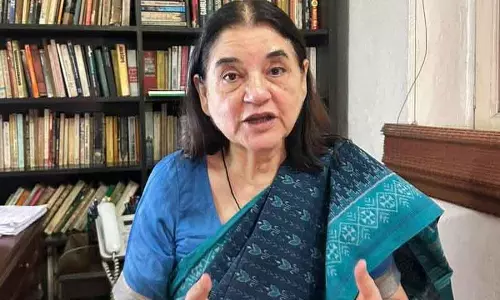 Chandigarh मेनका गांधी ने CM के कुत्तों विवाद पर किया हमला Chandigarh मेनका गांधी ने CM के कुत्तों विवाद पर किया हमला