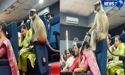 जनगणना 2026 वर्कशॉप में बंदर की एंट्री से मचा हंगामा, वायरल वीडियो ने इंटरनेट पर लगाई हंसी की फुहार जनगणना 2026 वर्कशॉप में बंदर की एंट्री से मचा हंगामा, वायरल वीडियो ने इंटरनेट पर लगाई हंसी की फुहार