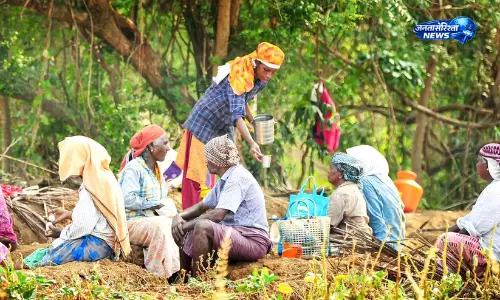 इडुक्की के दुर्गम इलाकों में डिजिटल अटेंडेंस सिस्टम से MNREGA कार्य बाधित इडुक्की के दुर्गम इलाकों में डिजिटल अटेंडेंस सिस्टम से MNREGA कार्य बाधित