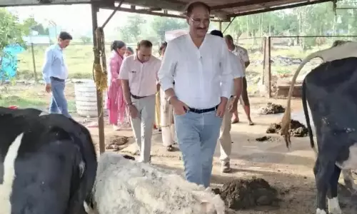 Haldwani: योजनाओं के लाभ और प्रगति की समीक्षा करने पहुंचे सुरेश जोशी Haldwani: योजनाओं के लाभ और प्रगति की समीक्षा करने पहुंचे सुरेश जोशी