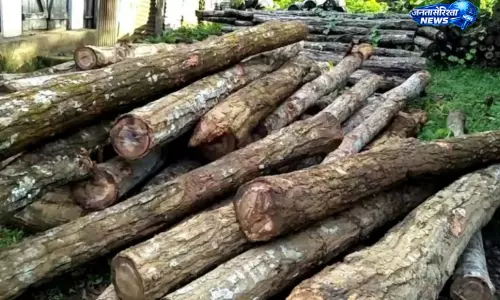 Tripura : लकड़ी तस्करी पर बड़ी कार्रवाई की तैयारी, वन विभाग 200 हथियार खरीदेगा Tripura : लकड़ी तस्करी पर बड़ी कार्रवाई की तैयारी, वन विभाग 200 हथियार खरीदेगा