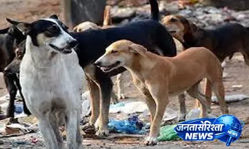 Ganjam में आवारा कुत्तों के हमले में नाबालिग गंभीर घायल Ganjam में आवारा कुत्तों के हमले में नाबालिग गंभीर घायल