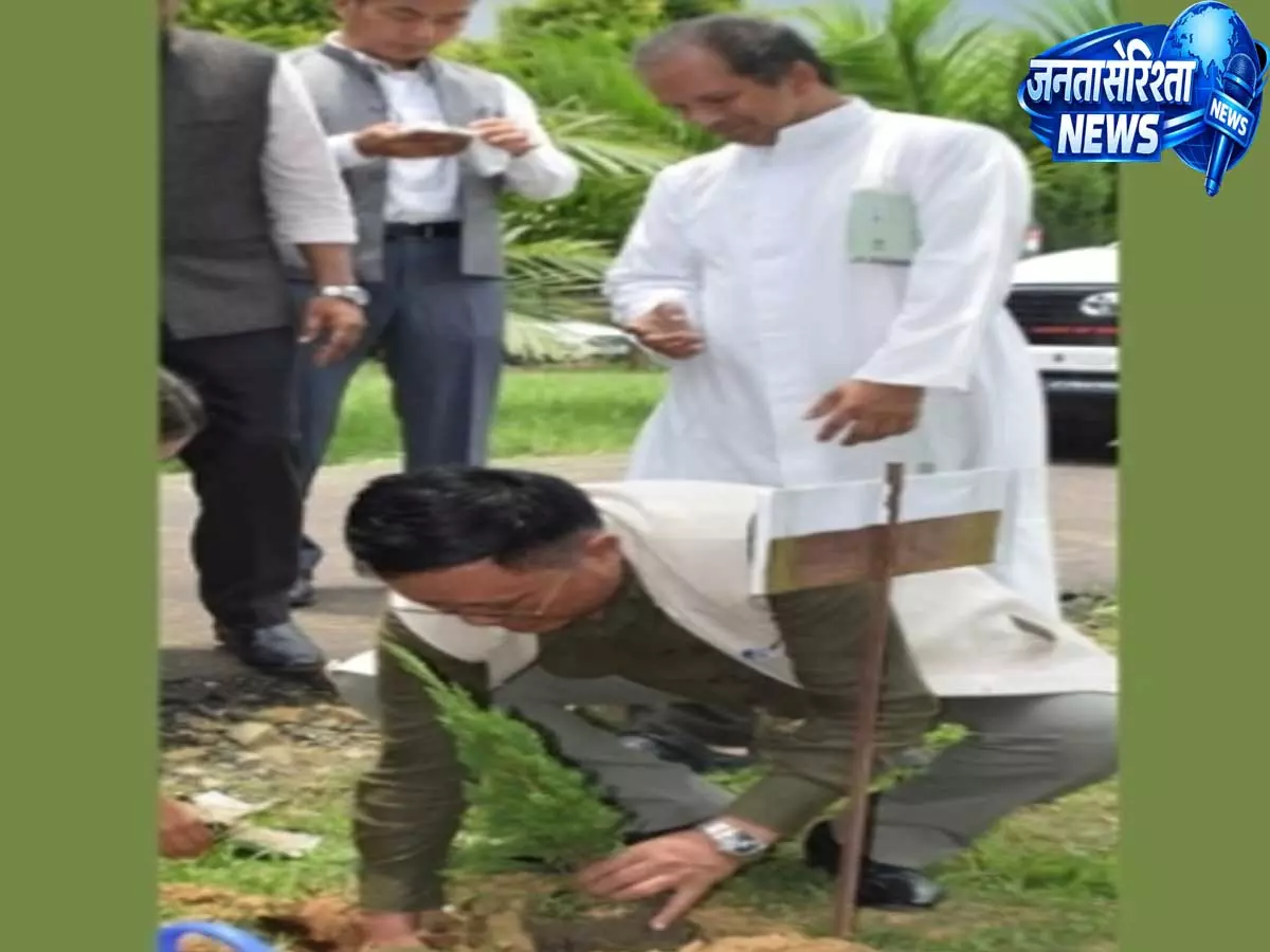 Nagaland official: 10 साल में 794.88 वर्ग किलोमीटर वन क्षेत्र खत्म हुआ Nagaland official: 10 साल में 794.88 वर्ग किलोमीटर वन क्षेत्र खत्म हुआ