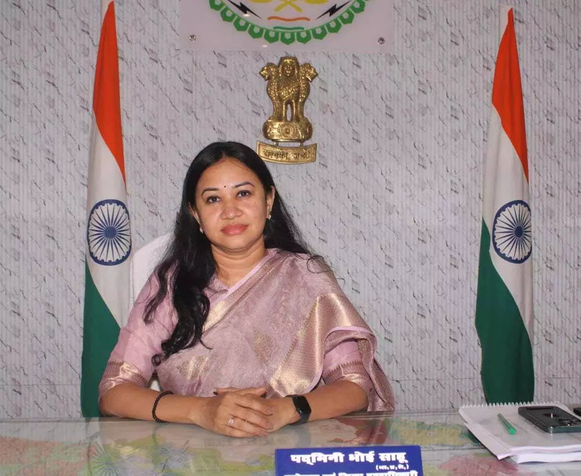 कलेक्टर पदमिनी भोई साहू ने पंचायत सचिव को किया सस्पेंड कलेक्टर पदमिनी भोई साहू ने पंचायत सचिव को किया सस्पेंड