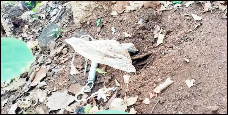 दंतेवाड़ा में कुकर IED जवानों ने किया बरामद दंतेवाड़ा में कुकर IED जवानों ने किया बरामद