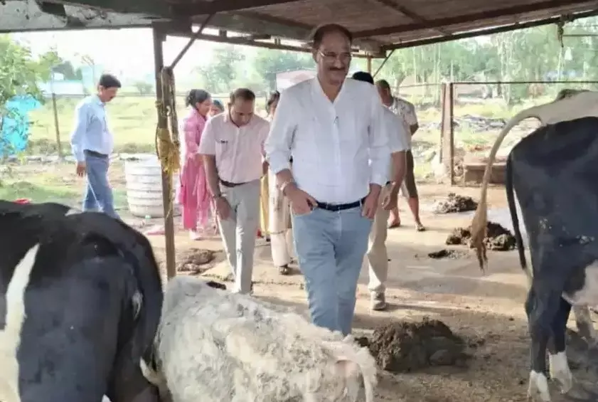 Haldwani: योजनाओं के लाभ और प्रगति की समीक्षा करने पहुंचे सुरेश जोशी Haldwani: योजनाओं के लाभ और प्रगति की समीक्षा करने पहुंचे सुरेश जोशी