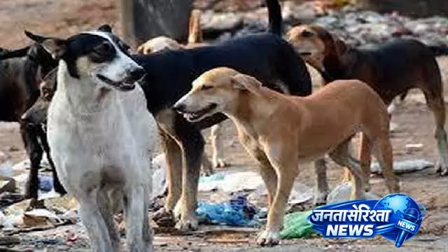 Ganjam में आवारा कुत्तों के हमले में नाबालिग गंभीर घायल Ganjam में आवारा कुत्तों के हमले में नाबालिग गंभीर घायल