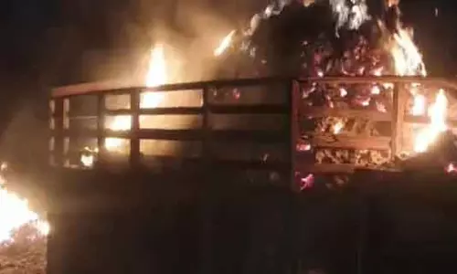 ट्रक आग की चपेट में, तेंदूपत्ता जलकर खाक