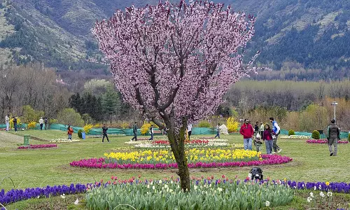 Kashmir : मेडिकल और वेलनेस टूरिज्म को बढ़ावा