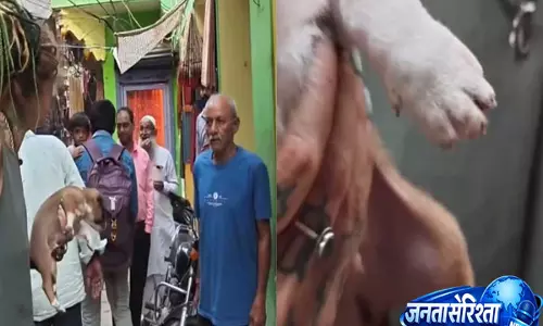 Varanasi: घायल पिल्ले को लेकर रूसी व्लॉगर का विवाद, शख्स पर गालियां देने और थूकने का आरोप- Video Varanasi: घायल पिल्ले को लेकर रूसी व्लॉगर का विवाद, शख्स पर गालियां देने और थूकने का आरोप- Video